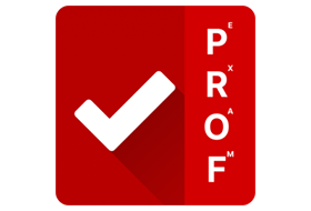 ProfExam Simulator 8.0.24087.2156