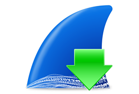 Wireshark 4.4.3